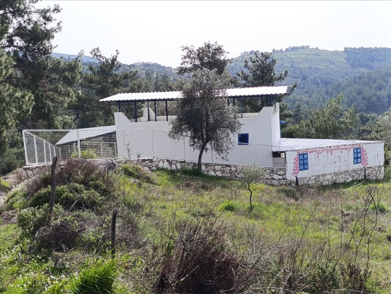 MUĞLA MİLAS DEMİRCİLER KÖYÜ SATILIK MÜSTAKİL EV