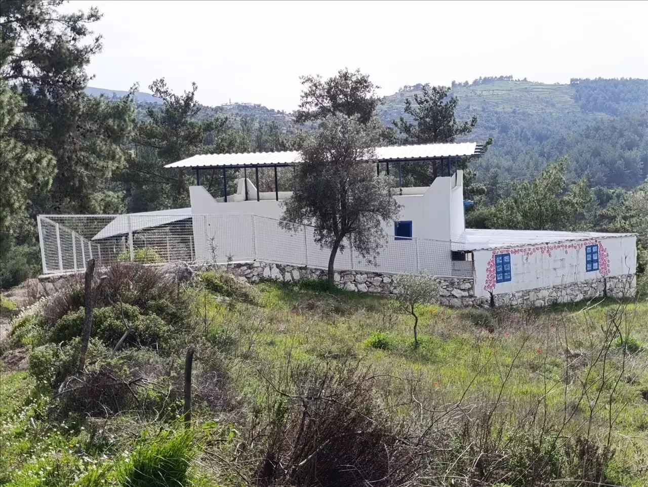 Muğla Mi̇las Demi̇rci̇ler Köyü Satilik Müstaki̇l Ev